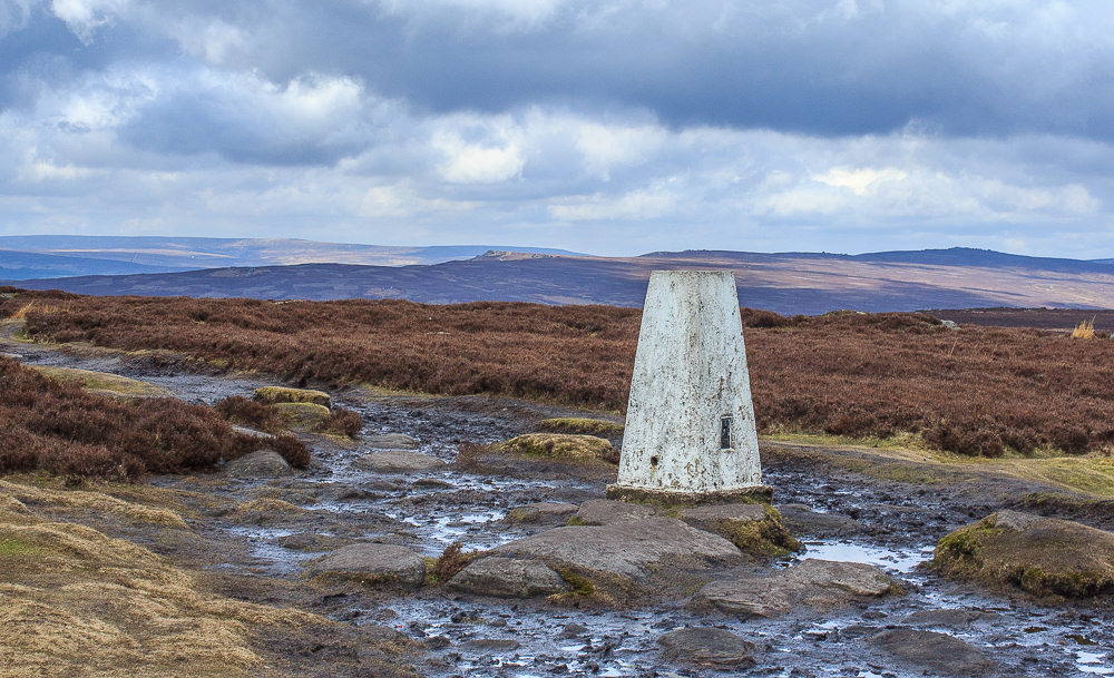 High Neb's Trig